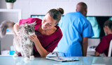 Fototapeta  - Female Vet Examining Pet Cat In Surgery With Veterinary Team In Background