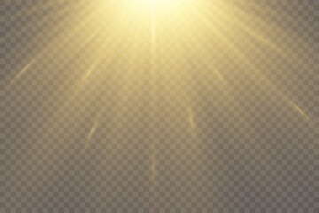 Poster - Vector transparent sunlight special lens flash light effect