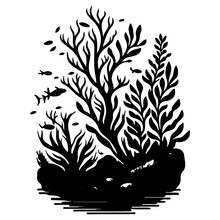 Underwater World Seaweeds Grow Rocks Illustration Sketch Hand Draw
