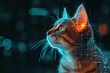 © dreamdes - Cat with futuristic HUD elements. Future technology, hologram, GUI, interface. Science fiction, sci-fi. Design for banner, poster. Cute funny pet