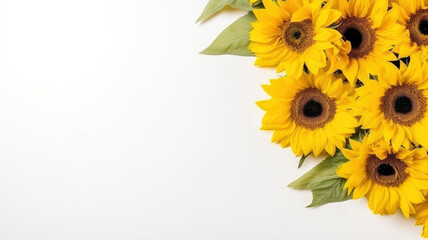 Wall Mural - composition of sunflower flowers bouquet, top view with space for copy text white background