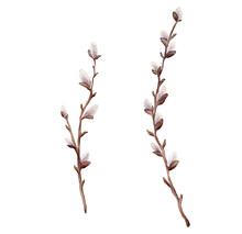 Watercolor Illustration Willow Branches And Tree Branch Without Leaves. Brown Dry Straight Twig. Isolated On A White Background. Spring Floral Easter Elements. For Holiday Print Design
