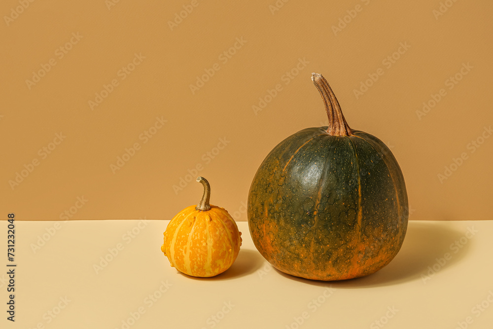 Different fresh pumpkins on colorful background