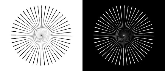 Wall Mural - abstract background with lines in circle. art design spiral as logo or icon. a black figure on a whi