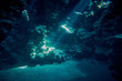 The beauty of the underwater world - beautiful space of underwater cave with rays of natural sunlight - scuba diving in the Red Sea, Egypt