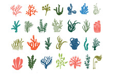 Coral, Seaweed, Coral, Seaweed, Sea Life, Ocean Life, Coral, Hawaii, Coral Reef, Ocean, Coral Cut File, Ocean Animals, Coral Clipart, Corals, Kelp, Under The Sea Plants, Sea Life, Ocean Life, Seaweed