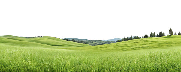 Wall Mural - Green valley lanscape cut out