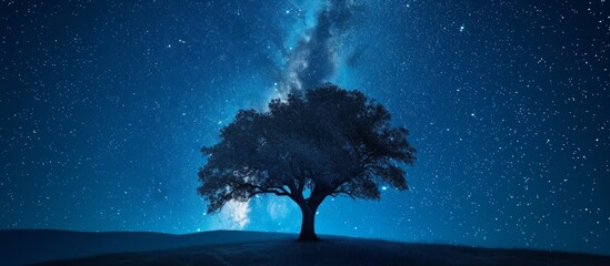 Wall Mural - the tree is a celestial beauty in the night sky.