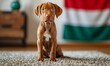 realistic shot of a hungarian national flag, in front a hungarian vizsla puppy
