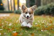 © Pinklife - Two playful pups of different breeds frolic on a lush green field, embodying the carefree spirit of outdoor companionship
