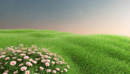 Sticker - background of green field of grass with flowers 3d rendering useful for commercial banners and print