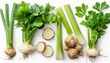 green celery and celery root with leaves garden celery set png isolated with transparent background flat lay top view without shadow