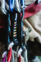 A Hummingbird Sits On A Rack Of Climbing Gear On A Climber's Harness
