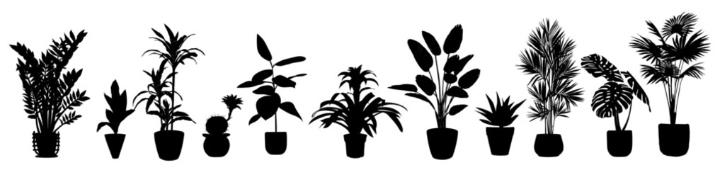 Wall Mural - Silhouettes of different House Plants in pot set. Collection of indoor potted decorative houseplants for interior home, office decoration. Monochrome vector illustrations on transparent background.