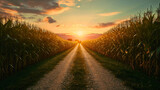 Fototapeta  - Rural landscape of a soil countryside ground road in the middle of two corn fields at the golden hour sunset. Green plant maize, agriculture farming land growth, harvest season, cob leaves horizon