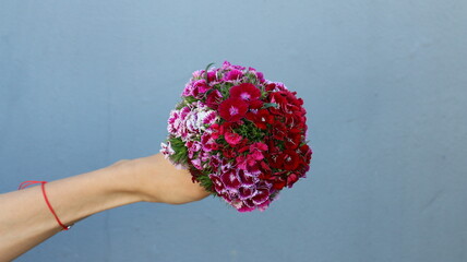 Clavel del poeta, ramo de novia, de claveles rosa y rojo