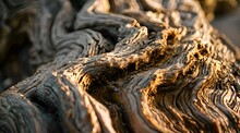 A Close Up View Of A Tree Trunk