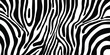 Zebra pattern shape vector in black white for background design.