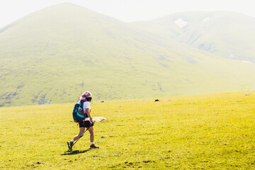 Wall Mural - Side view fit sporty female hiker with nordic walk sticks go uphill in green hiking trail in caucasus mountains .Recreational activities and healthy lifestyle concept