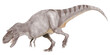 ティラノサウルス科の大型肉食恐竜ゴルゴサウルス。アルバートサウルスと近縁のため、同種に含められたが、現在は単独の属として一種のみが認められている。オリジナル復元画像。