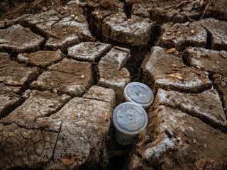 two plastic cups stuck in cracks in the ground due to drought