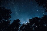 Fototapeta Niebo - Experience the tranquility of a star-filled night sky complemented by the beauty of surrounding trees, A blanket of stars over a darkened forest, AI Generated