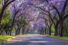 A Peaceful City Street Adorned With An Abundance Of Trees And Vibrant Purple Flowers, A Boulevard Lined With Jacaranda Flowering Trees In A City Park, AI Generated