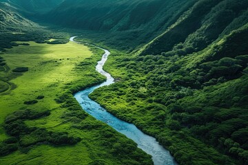 Canvas Print - A winding river cuts through a dense green valley, carving a path through the lush landscape, A winding river flowing through a lush green valley from above, AI Generated