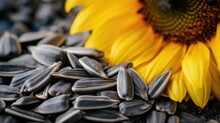 Organic Sunflower Seeds And Flowers On Wooden Table