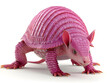 Pink Fairy Armadillo toy illustration isolated on white background. Cute armadillo illustration featuring cute animal characters