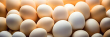 Fresh Chicken Eggs, Top View, Generative Ai