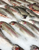Fototapeta Na sufit - Fresh fish in ice on a counter in a market