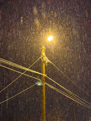 Canvas Print - Snow falls in the light of a street lamp at night