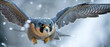 Banner of a peregrine falcon in Winter with blurred background 