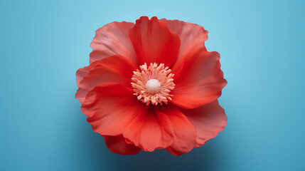 Wall Mural - Poppies on a blue background. Floral patterns. Poppy backgrounds.