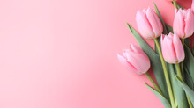 Women's Day, Valentine's Day, Mother's Day Background Concept, Empty Floral Background With Copy Space