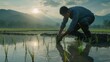 © an - A young farmer planting rice in a rice field wearing a shirt and trousers. The background of the mountains is natural and cold. Created with Generative AI.