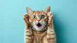 Surprised shocked cat face with paws on head on blue background with copy space.  AI Generative