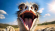 Close-up selfie portrait of a laughing ostrich