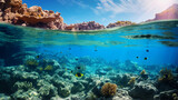 Fototapeta Fototapety do akwarium - Coral reefs in the blue ocean