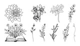 Fototapeta Kwiaty - Set of hand drawn botanical flowers line art vector. Collection of foliage, leaf branches, floral, flowers, roses, and line art.