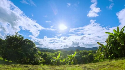 Wall Mural - blue sky with cumulus cloud time lapse at a tropical farm on a sunny day 4k footage.