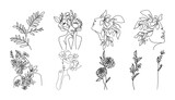 Fototapeta Storczyk - Set of hand drawn botanical flowers line art vector. Collection of foliage, leaf branches, floral, flowers, roses, and line art.