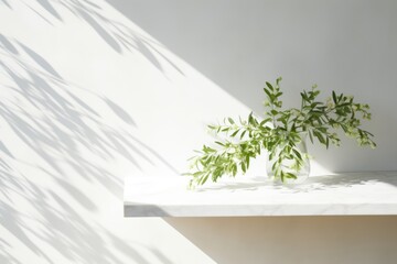 Wall Mural - Spring sunlight on tree branch with shadow on marble wall.