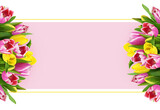 Fototapeta Tulipany - Yellow and pink tulip flowers with pink place for text in a floral frame isolated on white or transparent background