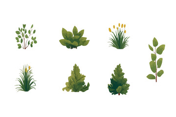 forest vegetation set isolated vector style with transparent background illustration