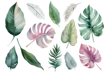  Tropical plants watercolor collection isolated on transparent background