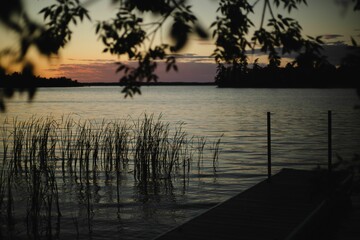 Wall Mural - Stunning view of a tranquil lake with reeds during a stunning sunset