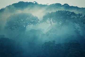 Canvas Print - a fog covered forest area in the morning light of dawn