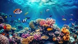 Fototapeta Do akwarium - Fish over a coral reef in the sea.
